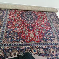 فرش ۱۲ متری|فرش|قائم‌شهر, |دیوار