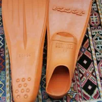 فین شنا و حلقه لاغری