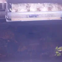 آکواریوم کامل|ماهی|زاهدان, |دیوار