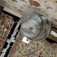 سبزی خردکن|خردکن، آسیاب، غذاساز|تهران, جیحون|دیوار