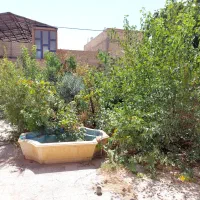 پانزده-خرداد-شمالی-منزل-کلنگی-شمالی-کوچه-باز