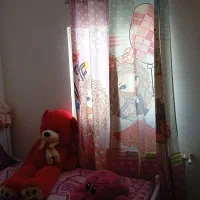 یک عدد فرش و یک عدد تخت ویک جفت پرده|فرش|پردیس, فاز ۱۱|دیوار