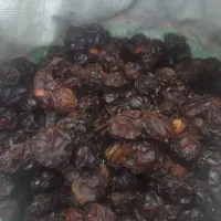 آلوچه  ترش وخوشمزه