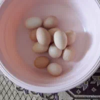 کد یومورتاسی خانگی (تخم مرغ محلی )