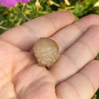 زوعه مار|جواهرات|یاسوج, |دیوار