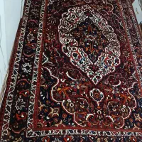 بختیار گوشتدار شور رفته|فرش|کرج, ساسانی (قلمستان)|دیوار