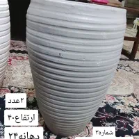 گلدان سفالی|گل و گیاه طبیعی|شاهینشهر, حافظ شمالی|دیوار