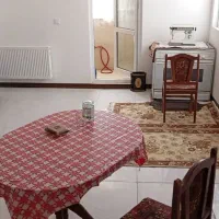 فروش تک خواب زیتون ۱۷