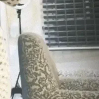 2عددپرده زبرا طوسی|پرده، رانر، رومیزی|تهران, کوی بیمه|دیوار