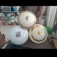 پنک سقفی نو