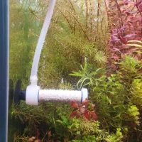 اکواریوم تجهیزات پلنت co2 دفیوزر خاک نور انوبیاس|ماهی|اصفهان, طامه|دیوار