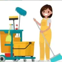 خانم برای تمیزکاری هفتگی
