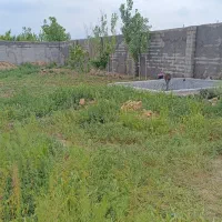 باغ باغچه نوبهار سند تک برگ باغی