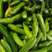 خیار تازه
