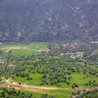 زمین زراعی و باغی در هشترود روستای خواجه غور
