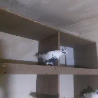 شاپر از هردو طرف