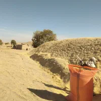 کاه دیم درجه یک نرم