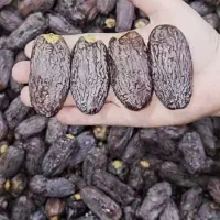 دیمیت نخل مجول|خدمات باغبانی و درختکاری|بوشهر, |دیوار