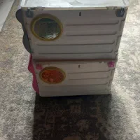 لانه عروس هلندی