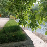 اجاره باغ ویلای بزرگ ساحلی زنده رود|اجارهٔ کوتاه‌مدت ویلا و باغ|سامان, |دیوار