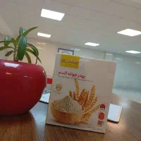 پودر معجزه صورت جوانه گندم