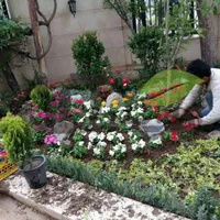 خدمات باغبانی