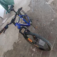 دوچرخه کوهستانی 26|دوچرخه، اسکیت، اسکوتر|بندرعباس, |دیوار
