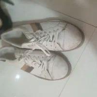 کفش زنانه ومردانه|کیف، کفش، کمربند|پرند, فاز ۱|دیوار