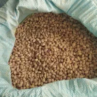 لوبیا چیتی|خوردنی و آشامیدنی|اصفهان, ارداجی|دیوار