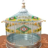 جوجه قازالاق نرمه خور درشت