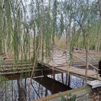 یک تصمیم، هزارلحظه آرام|فروش خانه و ویلا|مشهد, ولیعصر (شهرک غرب)|دیوار