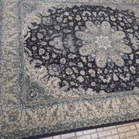 فرش ۱۲متری سرمه ای|فرش|مشهد, پروین اعتصامی|دیوار