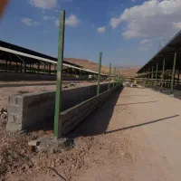 اجرای کارهای بنایی و اجرنما  وبتن ریزی|خدمات پیشه و مهارت|محمدیه-قزوین, |دیوار