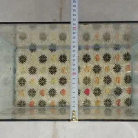 آکواریم نونو