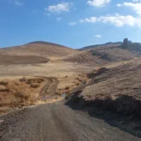 علف نرم خوش خوراک