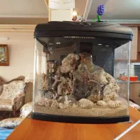 آکواریوم آب شور و شیرین|ماهی|مشهد, تربیت (صدف)|دیوار