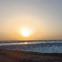 دعوت