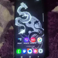 s24 fe 256 gig ram 8