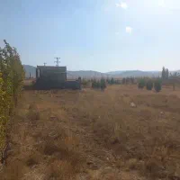 زمین 2.5 هکتار