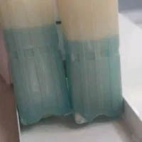 سرخ کن فرانسوی اصل