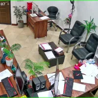 نیروی خدماتی خانم