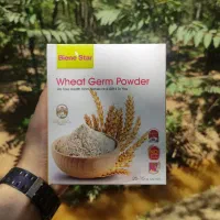 جوانه گندم بین استار (عمده)