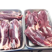 کالابرگ رایگان دهک 1تا7|خوردنی و آشامیدنی|شیراز, لشکری‎|دیوار