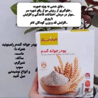 پودر جوانه گندم مغذی اورجینال نمایندگی کرج