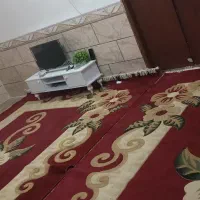 دو قالی دوازده متری