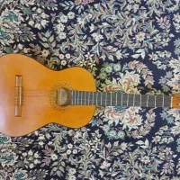 گیتار وفایی سالم سالم