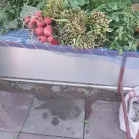 فروش وسایل سبزی خردکنی|خردکن، آسیاب، غذاساز|زنجان, |دیوار