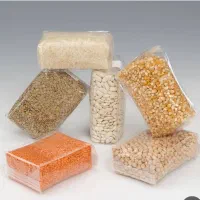 استخدام نیروی کار خانم