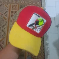 کلاه نو نو