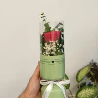گل رز/تک شاخه/بوکت|گل و گیاه طبیعی|قم, میرزائیه|دیوار
